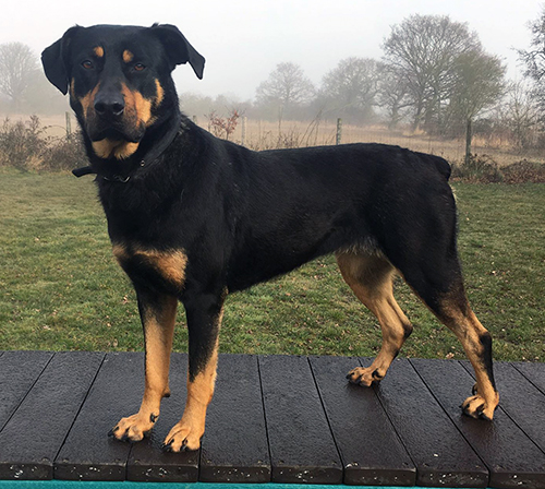 Xena